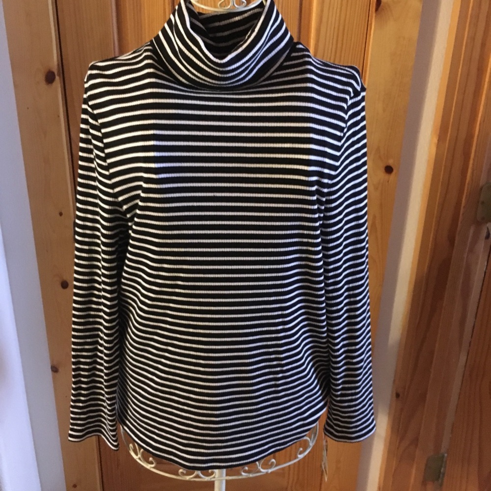 Charter Club Striped Knit Pullover L